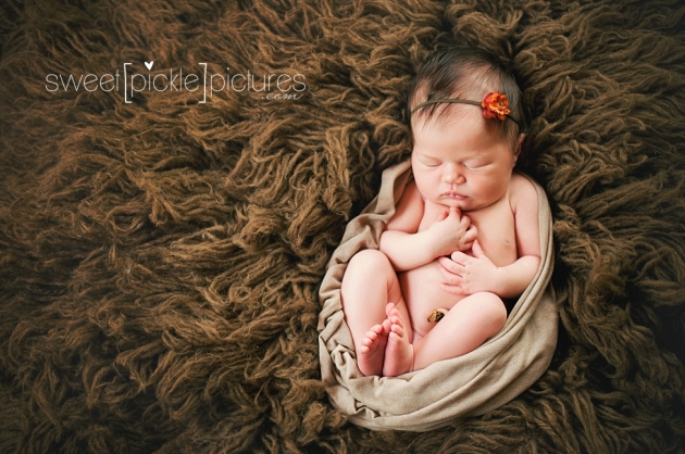 newborn girl on fur with wrap studio session