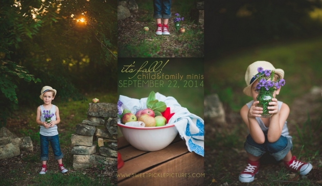 Fall Family Child Mini Sessions Sweet Pickle Pictures