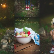 Fall Family Child Mini Sessions Sweet Pickle Pictures