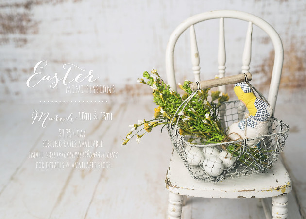 Easter Studio Mini Sessions